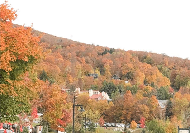 view of fall foliage in Woodstock, Vermont which is one of the best places to travel alone in the United States
