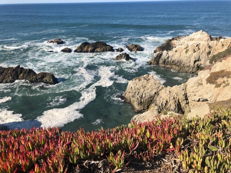 Bodega Bay in Santa Rosa is one of the best places to travel alone in California