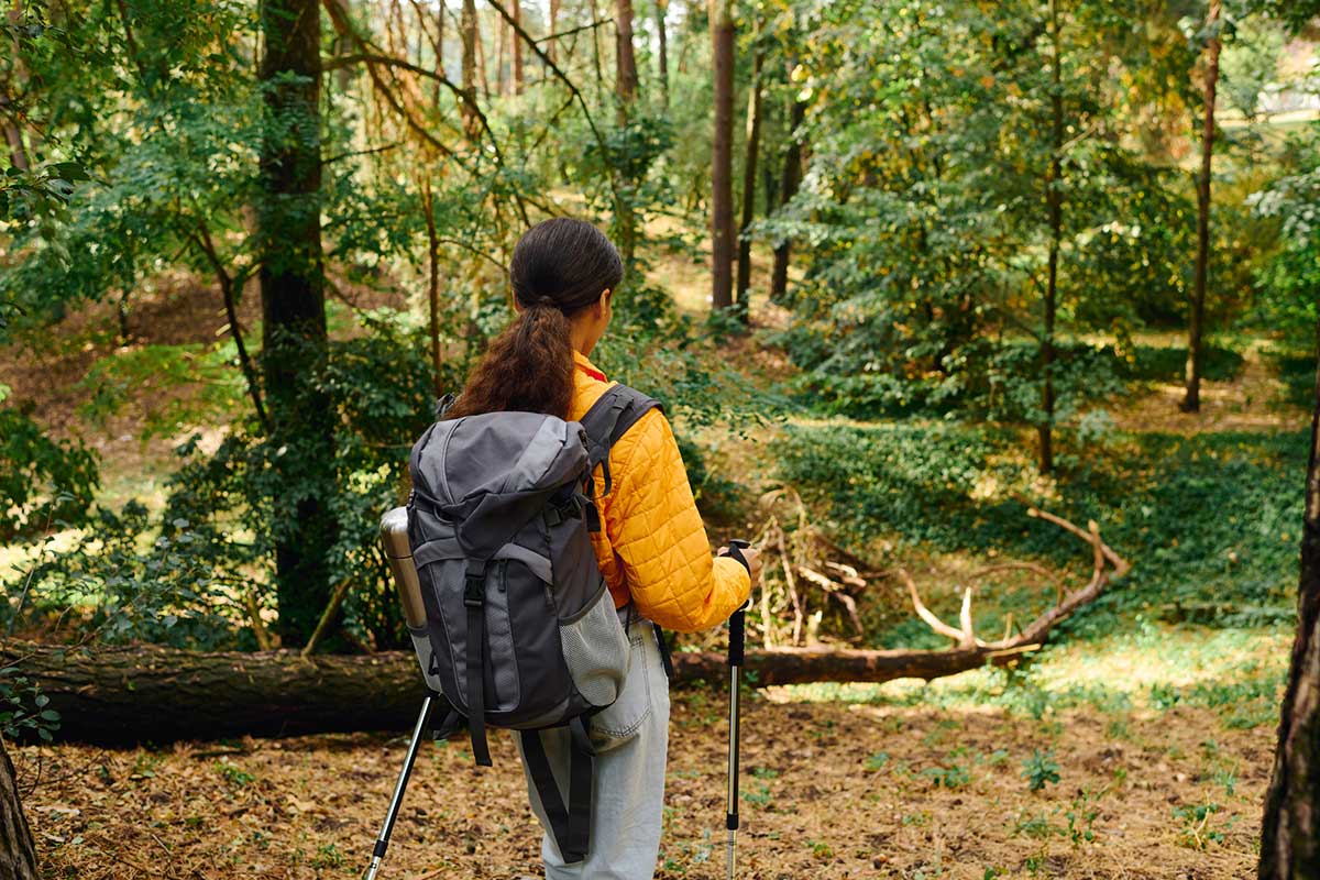 A young woman hikes through a colorful autumn forest, embracing the beauty of nature.