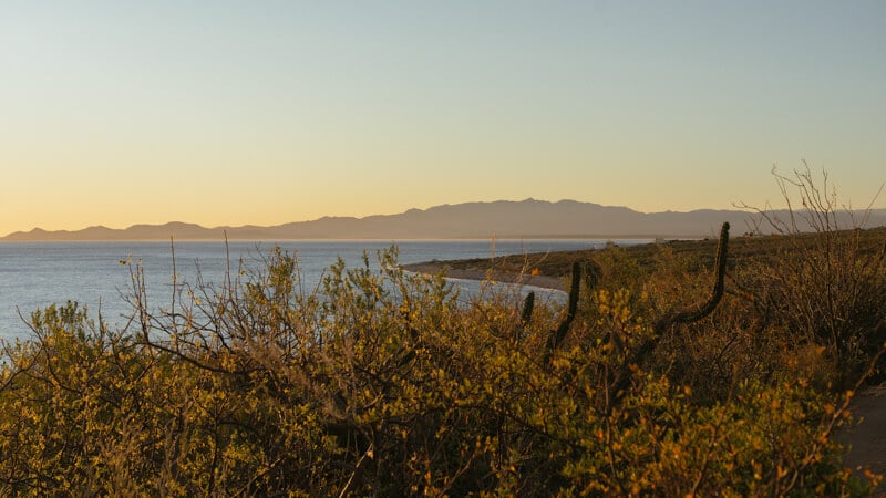 sunrise over the mountains as seen from the Punta Gorda Trail in Baja California Sur, Mexico