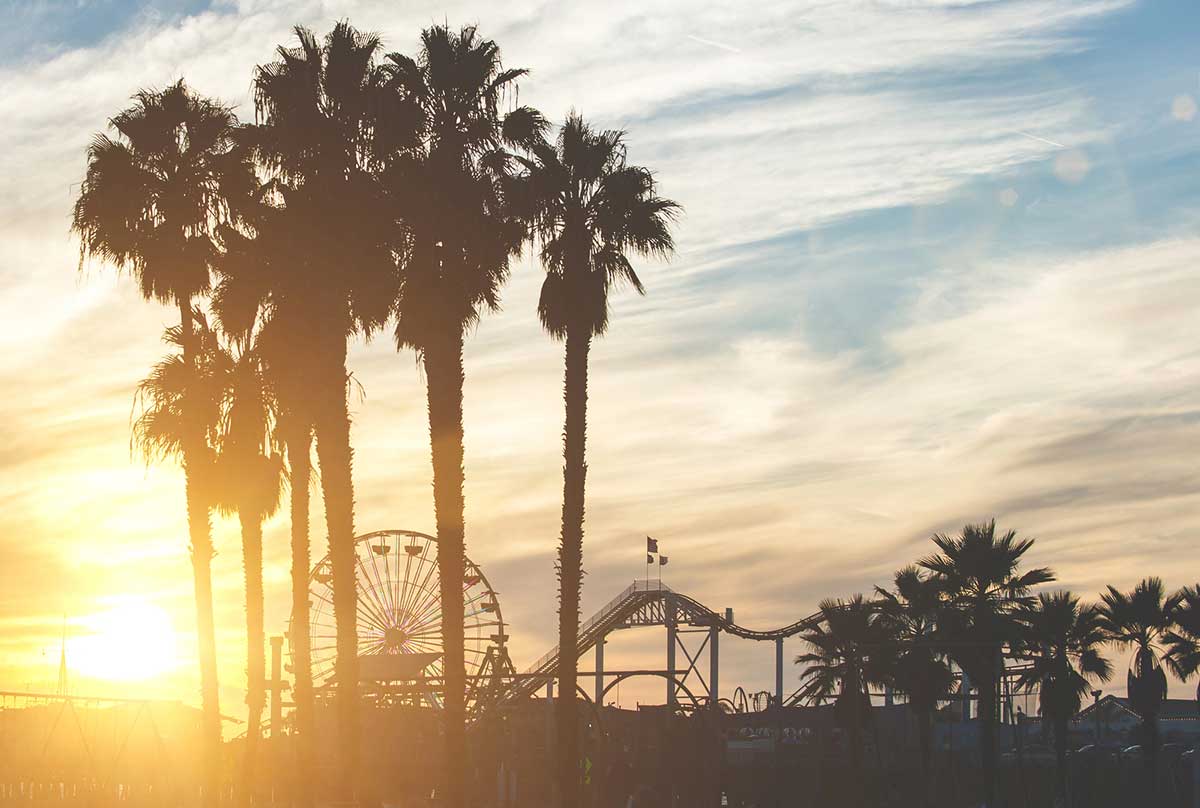 Palm trees silhouetted at sunset with the Santa Monica Pier Ferris wheel and roller coaster in the background.