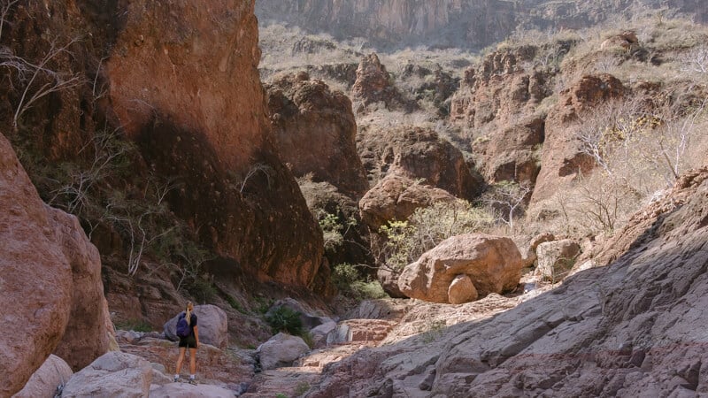 woman hiking in Baja California Sur in Tabor Canyon