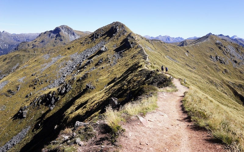 Grassy path along the Kepler Track on New Zealand's South Island