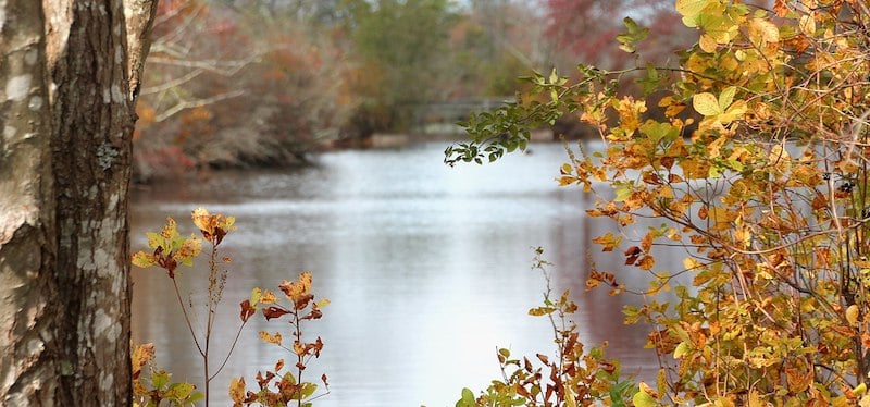 pond and colorful fall foliage alongside a Long Island hiking trail in Connetquot River State Park Preserve