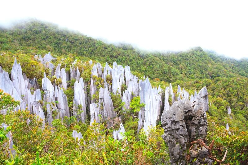 striking limestone pinnacles towering up from the ground in Gunung Mulu National Park