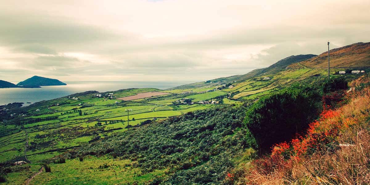 A wide landscape of the Ring of Kerry in Ireland, showing patchwork green fields across rolling hills, scattered houses, and the ocean stretching toward the horizon, with rugged coastline and cloudy skies above.