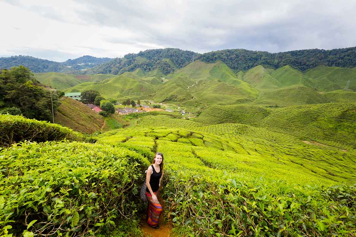 Landscape with young tourist on Bharat tea plantation in Cameron Highlands mountains in national park in Malaysia.