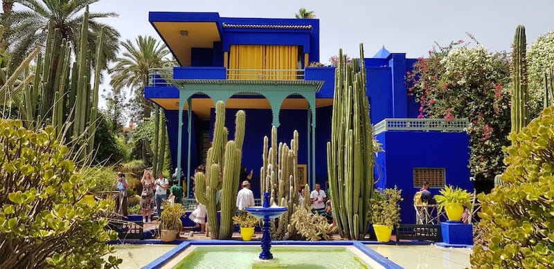 wandering giant cacti and plants at the Jardin Majorelle in Marrakech during solo female travel in Morocco