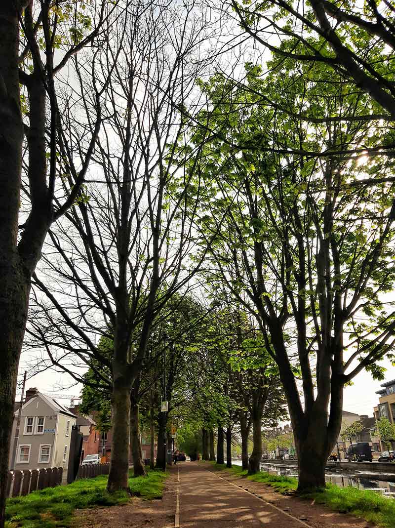 A street in Portobello neighborhood in Dublin, Ireland.