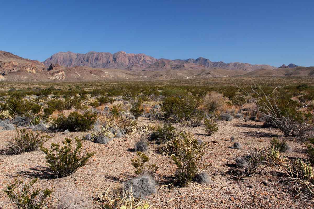 Big Bend National Park.