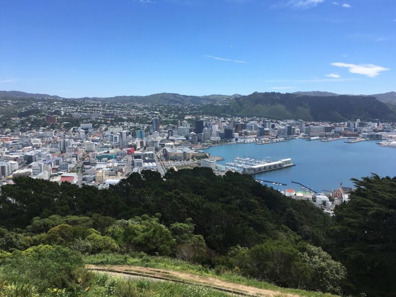 Wellington NZ cityscape from above