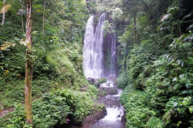 Munduk’s Banyu Wana waterfall surging at full force during Bali's rainy season