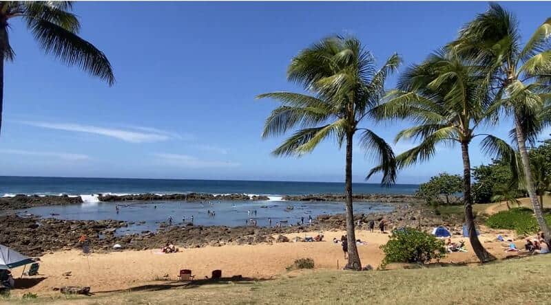 woman visiting a soft sand beach with palm trees during a solo trip to Hawaii