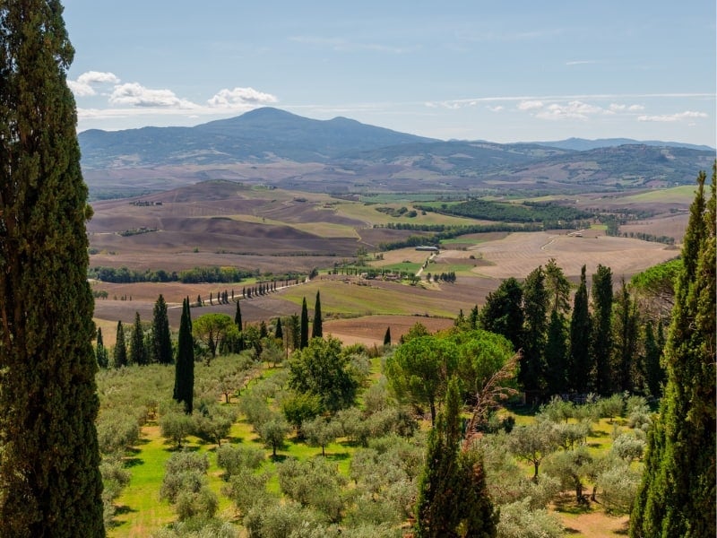 The hills of Tuscany from above