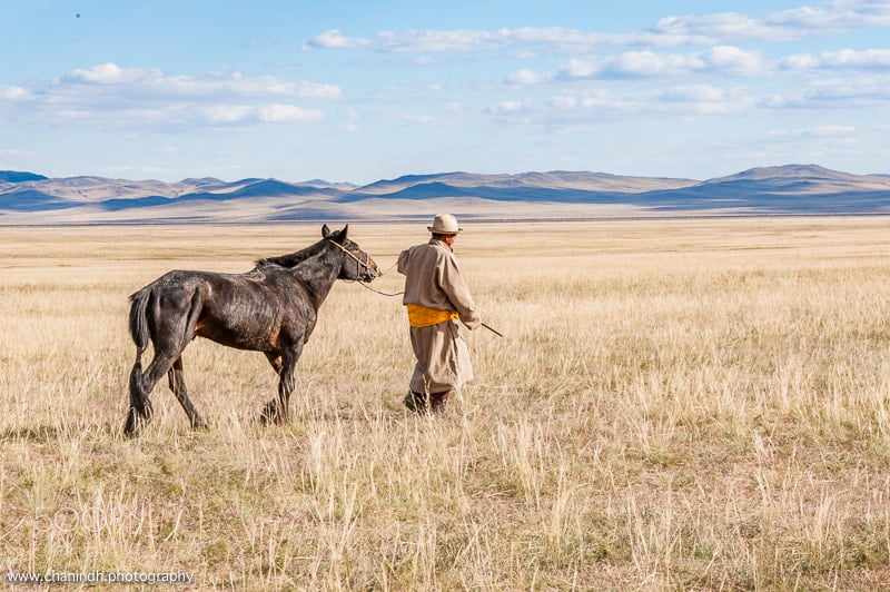 Mongolian man leading a horse in Gun-Galuut Nature Reserve