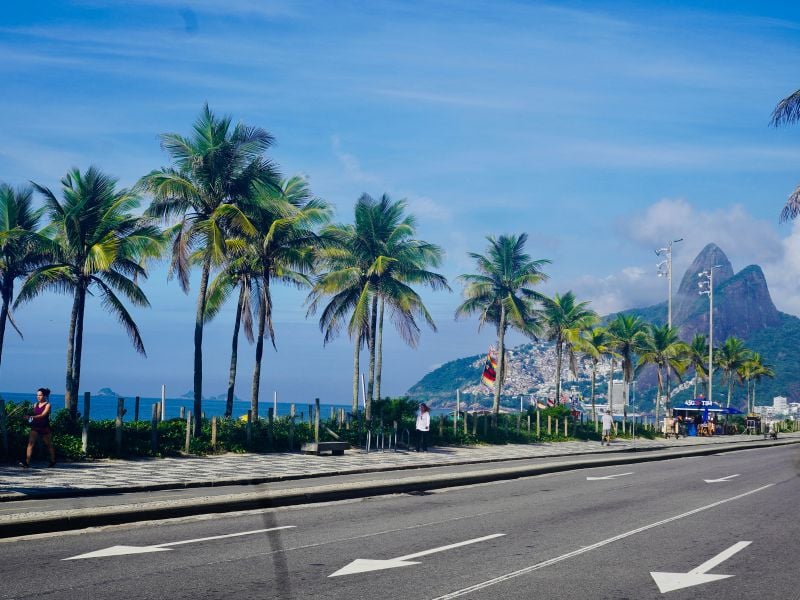palm trees along Ipanema Beach in Rio de Janeiro