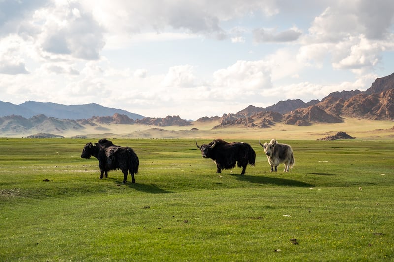 the Altai Mountains is one of the best places to add to a Mongolia itinerary 