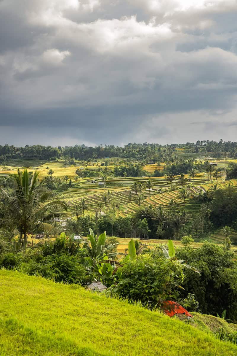 Jatiluwih Rice Terraces