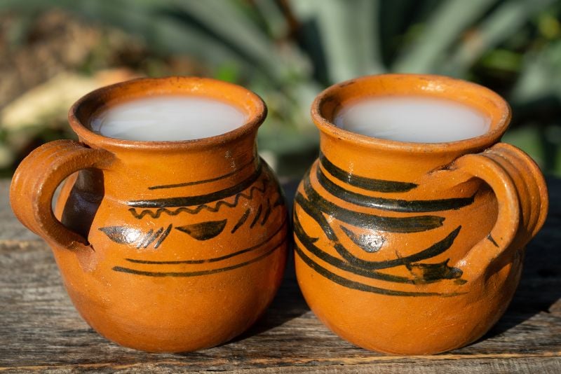 two mugs with pulque