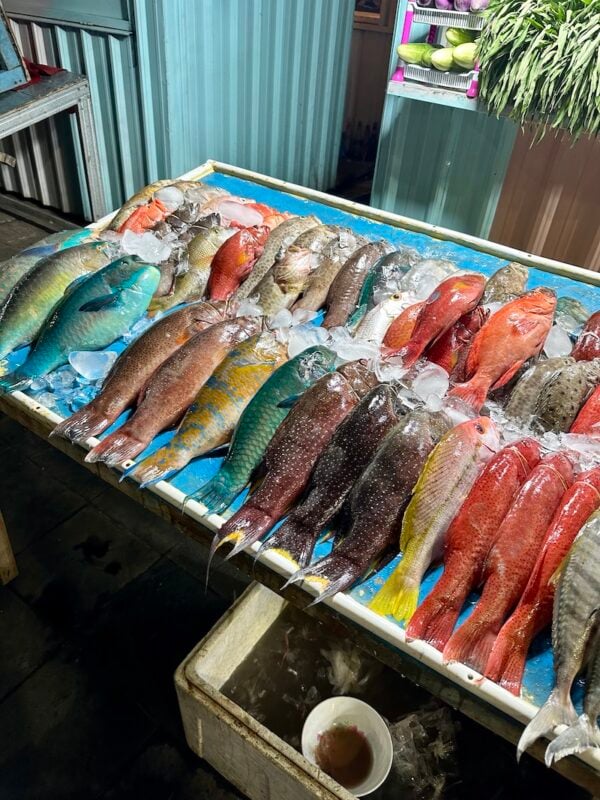 Colorful fish at the Labuan Bajo Fish Market