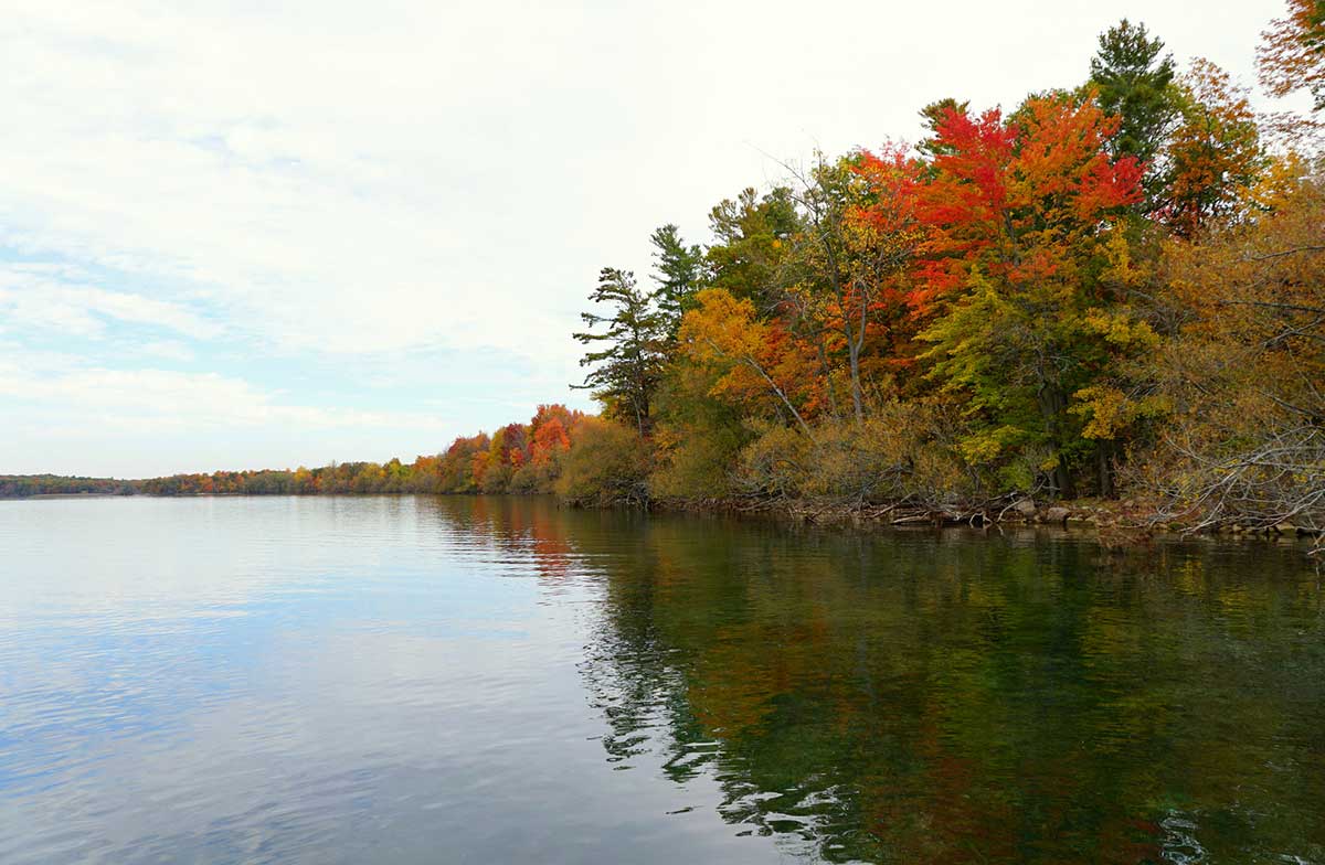 Stunning colors of fall foliage by St Lawrence River near Wellesley Island State Park, New York.