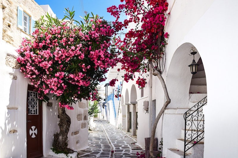 narrow stone street bordered by white houses and pink flowers on Mykonos Island in Greece
