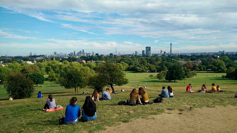 People sitting on the grass in Primrose Hill, London.