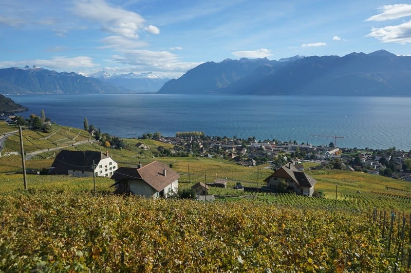 solo traveler in Switzerland visiting the Lavaux Vineyard Terraces