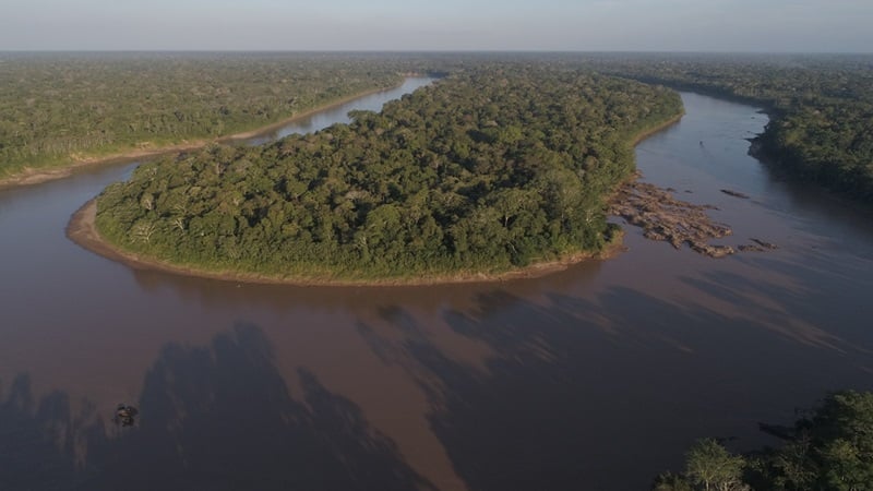 lush green island surrounded by the Tambopata River in the Amazon Jungle