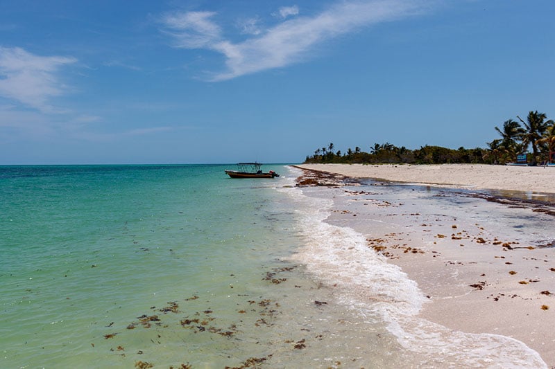 Pristine beach in Cabo Catoche with clear turquoise waters gently lapping against the sandy shore. A small boat is anchored close to the shoreline, and the beach is dotted with palm trees and sparse vegetation under a bright blue sky. The serene and untouched beauty of the beach is highlighted, perfect for a blog post about beaches in Holbox.