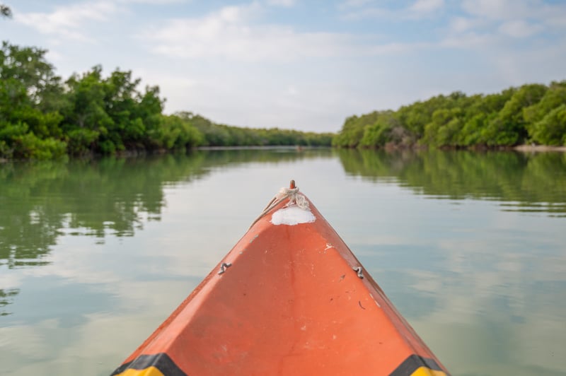 front of kayak surrounded by the Holbox Island mangroves