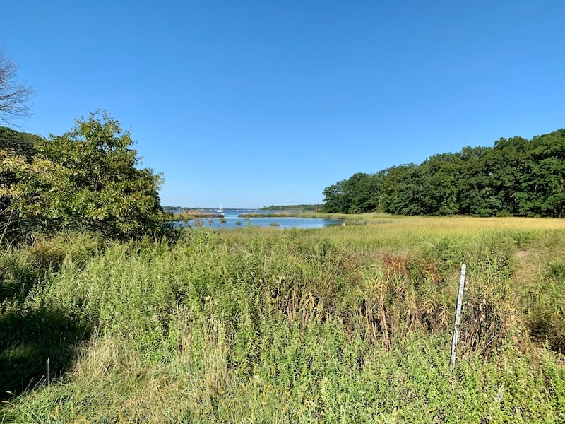 fields at the lesser-known NYC Pelham Bay Park