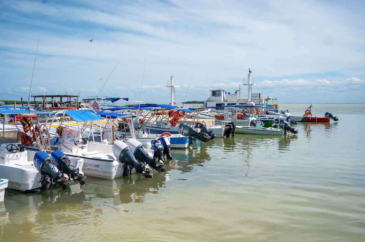 Holbox Island port with boats docked and birds flying above