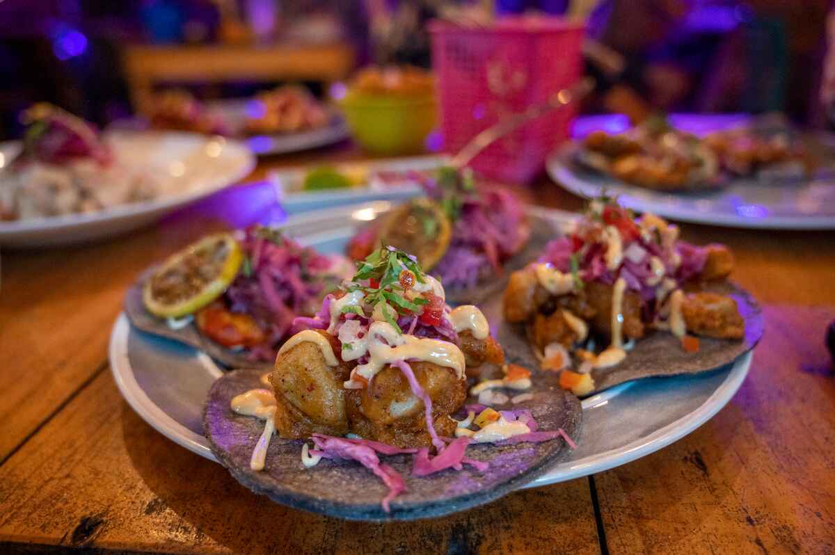 a plate of fish and shrimp tacos at Barba Negra on Holbox Island, Mexico