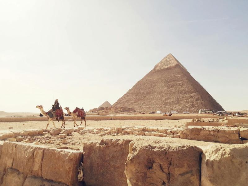 pyramids in Egypt with camels in front