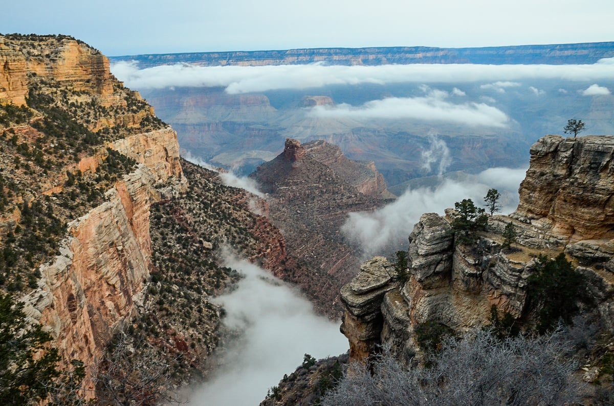 Breathtaking view of the Grand Canyon with rock formations and vegetation partially shrouded in mist under a soft sunrise sky. A majestic road trip destination from Denver, Colorado.