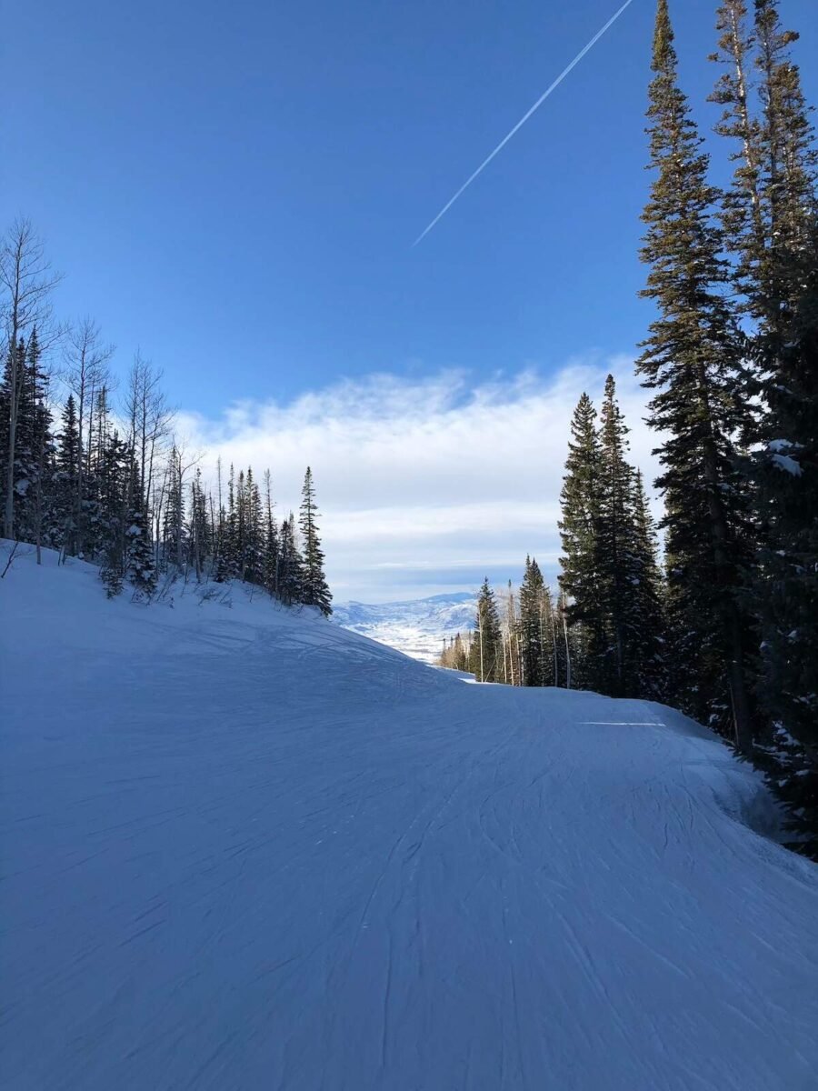 Snow-covered slopes lined with tall pine trees and a view of distant mountains under a partly cloudy blue sky at Steamboat Springs. A favorite skiing destination for road trips from Denver, Colorado.