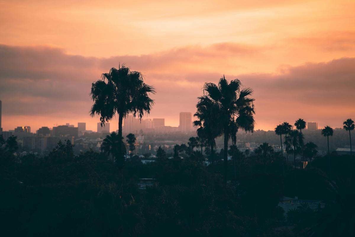 silhouetted palm trees stand tall in the foreground, their fronds outlined against a vibrant sunset sky. Beyond stretches the sprawling cityscape of Los Angeles, its iconic buildings and landmarks illuminated by the warm glow of the setting sun