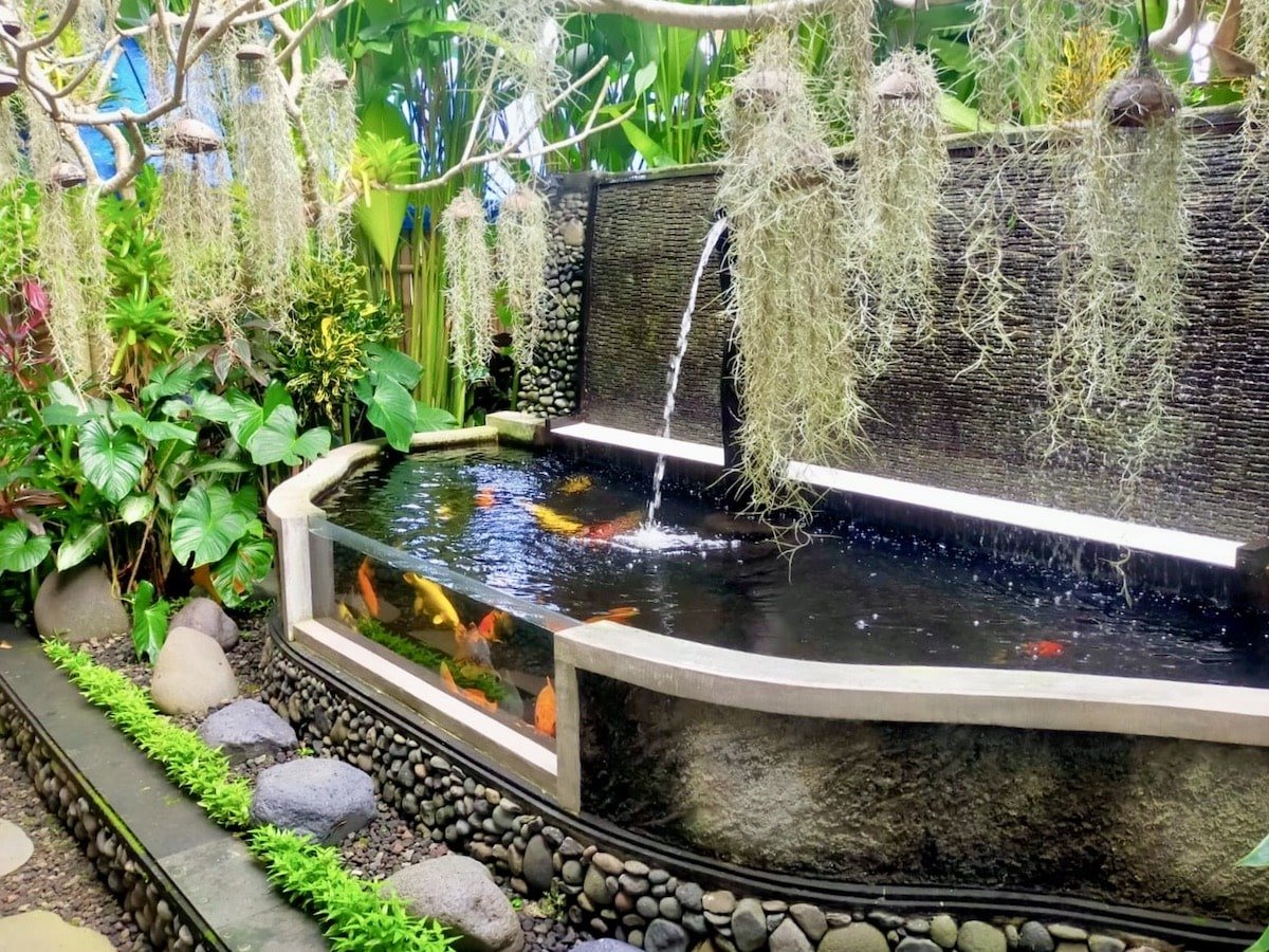 Serene garden with a koi pond at Alam Pracetha Bali in Ubud, an ideal spot for solo travelers to relax and enjoy nature while staying in Bali hotels.