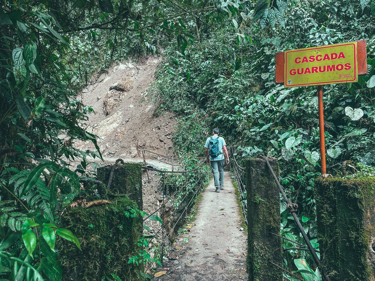 Solo traveler strolling through the lush waterfall park in Mindo, Ecuador, walking across a moss-covered bridge with a sign pointing to Cascada Guarumos, highlighting the natural beauty and tranquility of solo travel in Ecuador.