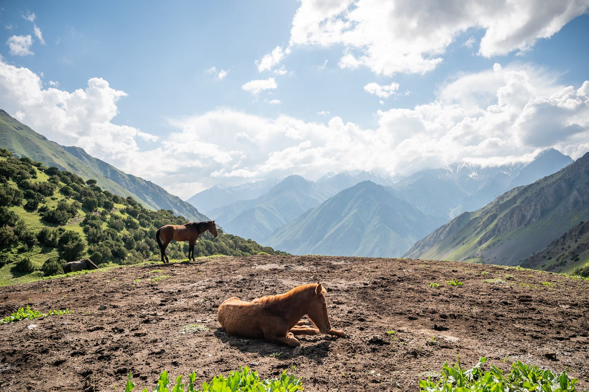 A tranquil scene captured while trekking to Kosh Moinok Pass in Kyrgyzstan, featuring a resting horse and another standing against a backdrop of rolling green hills and majestic mountain peaks under a partly cloudy sky. This image highlights the serene beauty and peacefulness one can experience while traveling in Kyrgyzstan.