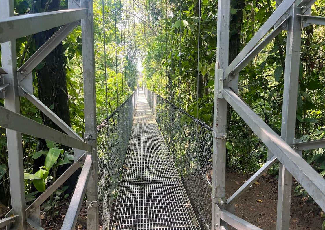 A hanging bridge crossing the lush rainforest at Mistico Park in La Fortuna, Costa Rica.