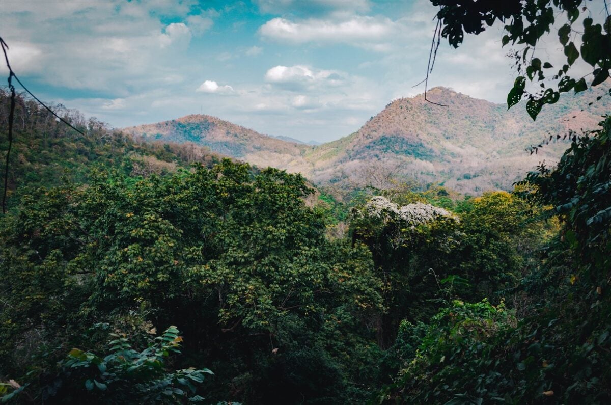 Solo female traveler taking in expansive mountain views in Northern Laos, featuring lush green forests and rolling hills under a partly cloudy sky.