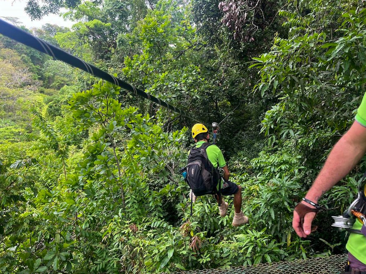 An adventurous person ziplining through the lush canopy in Monteverde, Costa Rica, capturing the thrill of a canopy tour as part of a 5 day Costa Rica itinerary.