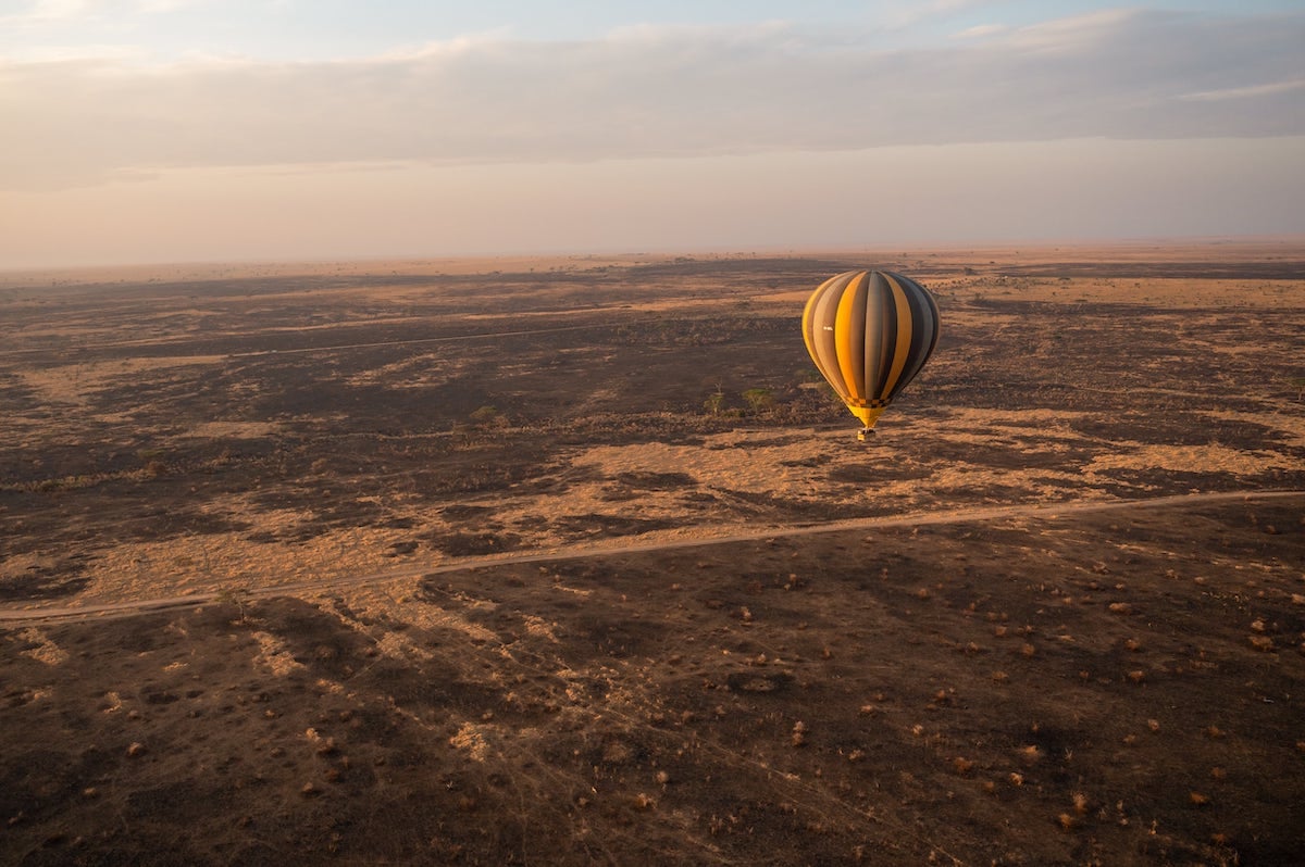 hot air balloon floating over Serengeti National Park at sunrise