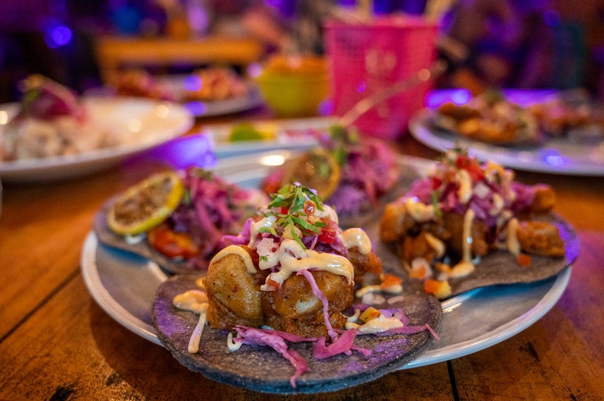 Plate of shrimp and fish tacos on blue corn tortillas, topped with fresh slaw, diced tomatoes, and drizzled with a creamy sauce at Barba Negra Restaurant on Holbox Island, Mexico.