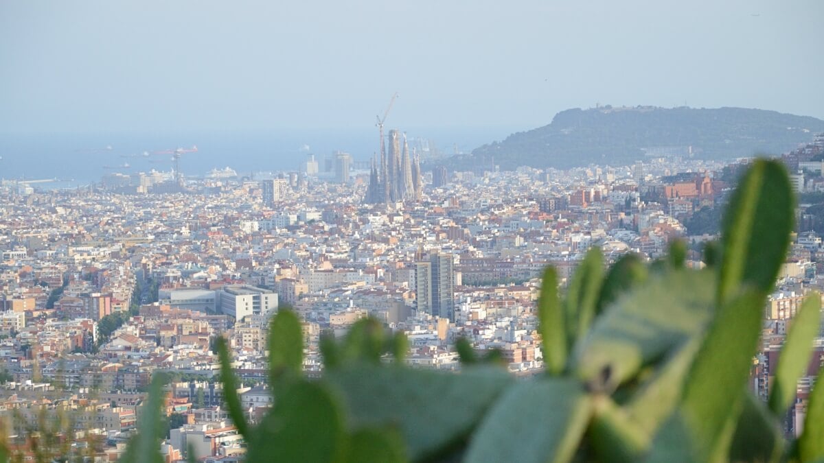 Panoramic view of the Barcelona skyline as seen from Collserola Natural Park, with the iconic Sagrada Família rising amidst the city's buildings, and green cactus plants framing the foreground.