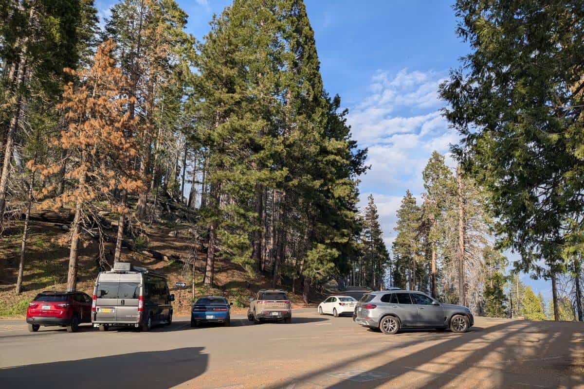 Parking lot surrounded by tall pine and sequoia trees in Sequoia National Park, California, with several cars and a camper van parked under a clear blue sky.
