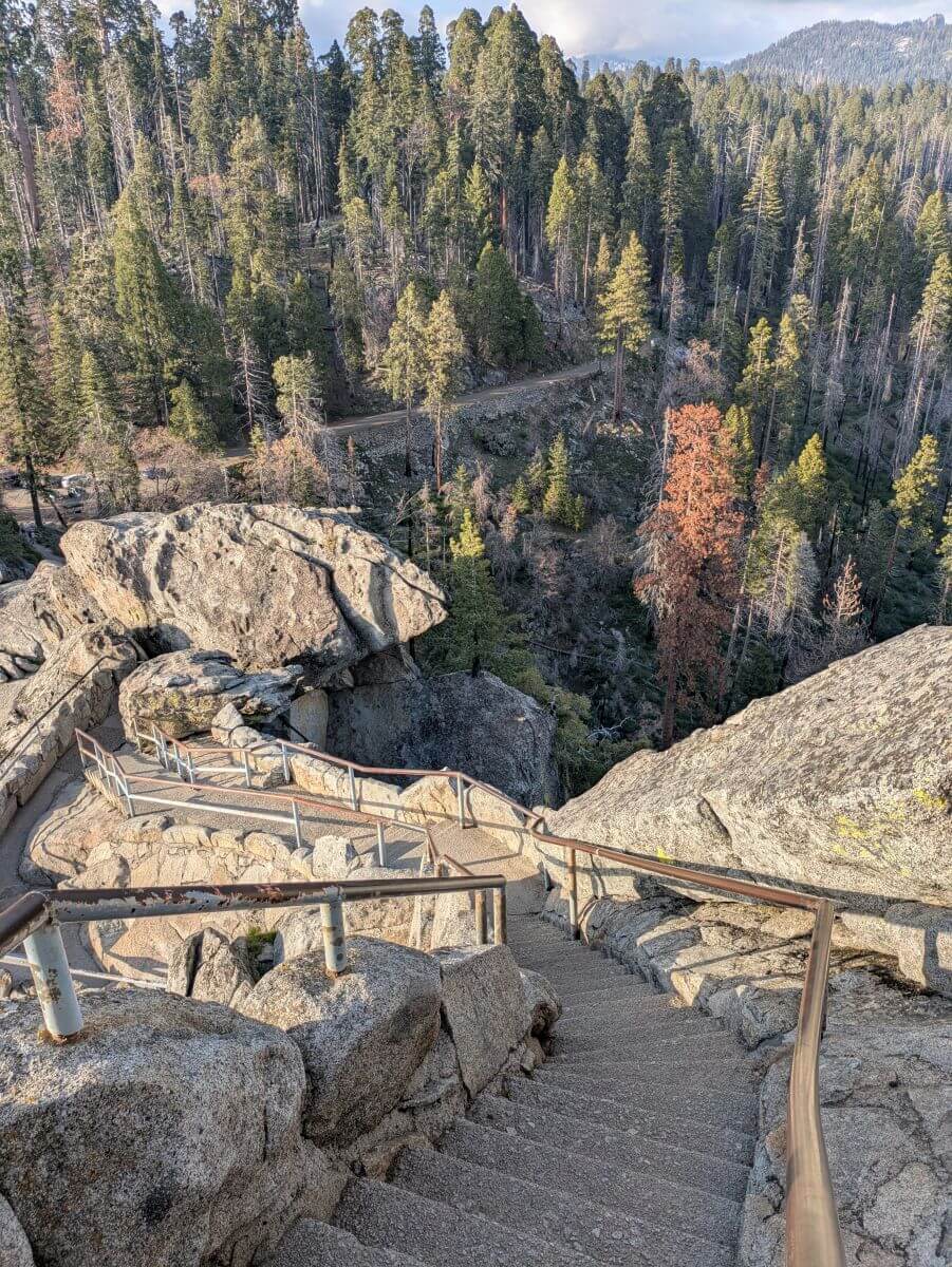 View looking down the winding stone staircase of Moro Rock in Sequoia National Park, California, surrounded by towering pine and sequoia trees with forested mountains in the background.