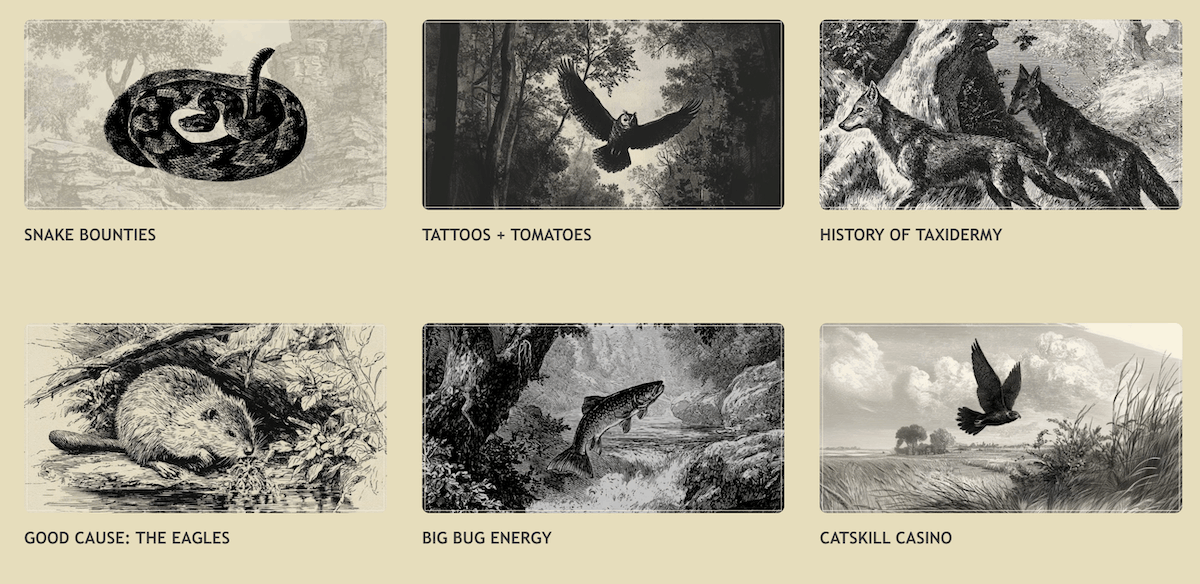 A grid of six rectangular content blocks from the Catskill Crew website features vintage-style black-and-white illustrations of local nature and wildlife. The sections include SNAKE BOUNTIES, showing a coiled rattlesnake; TATTOOS + TOMATOES, featuring an owl in flight; and HISTORY OF TAXIDERMY, depicting two coyotes in a wooded area. The bottom row highlights GOOD CAUSE: THE EAGLES with a beaver near the water; BIG BUG ENERGY, showcasing a leaping trout; and CATSKILL CASINO, with a bird of prey soaring over an open field.